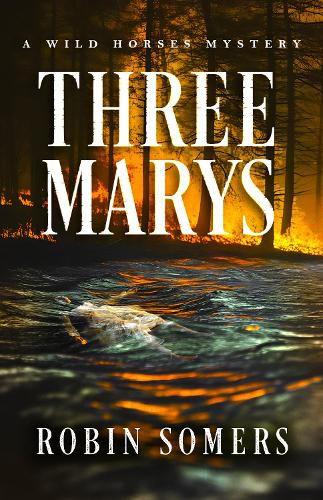 Cover image for Three Marys