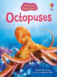 Cover image for Beginners Octopuses