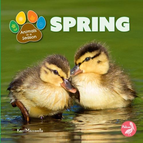 Cover image for Spring