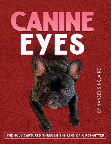 Cover image for Canine Eyes