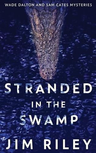 Cover image for Stranded In The Swamp