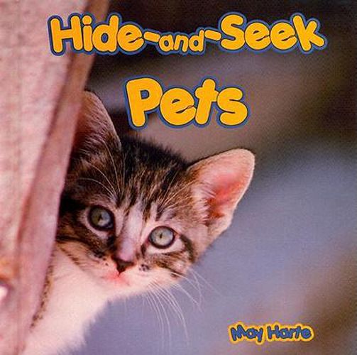 Cover image for Hide-And-Seek Pets