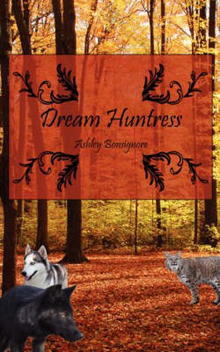 Cover image for Dream Huntress