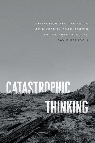 Cover image for Catastrophic Thinking: Extinction and the Value of Diversity from Darwin to the Anthropocene