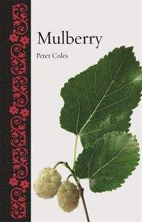 Cover image for Mulberry