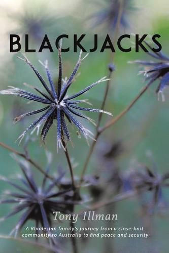 Cover image for Blackjacks: A Rhodesian Family's Journey from a Close-Knit Community to Australia to Find Peace and Security
