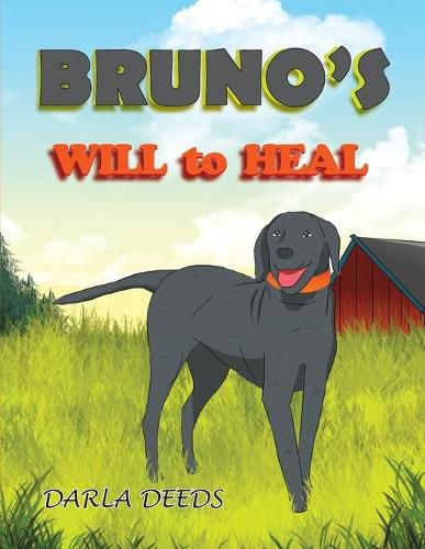 Cover image for Bruno's Will to Heal