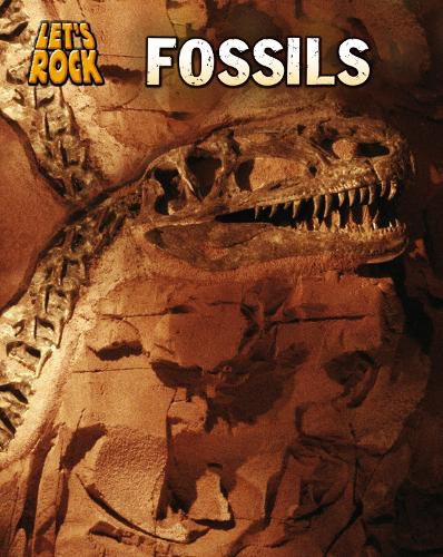 Cover image for Fossils