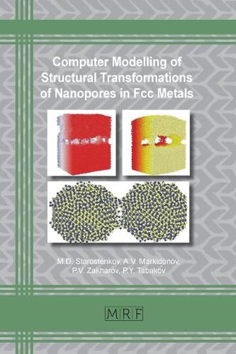 Cover image for Computer Modelling of Structural Transformations of Nanopores in Fcc Metals