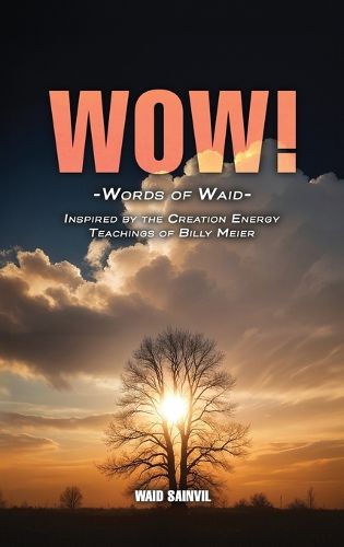 Cover image for Wow