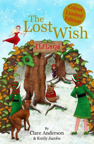 Cover image for The Lost Wish