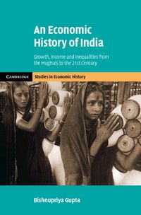 Cover image for An Economic History of India