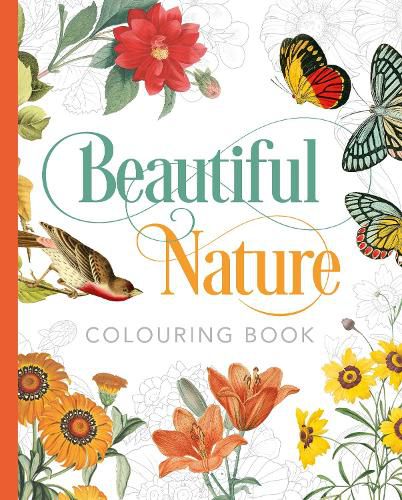 Cover image for Beautiful Nature Colouring Book