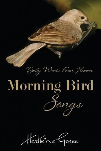 Cover image for Morning Bird Songs