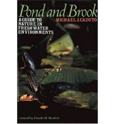 Pond and Brook