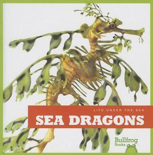 Cover image for Sea Dragons