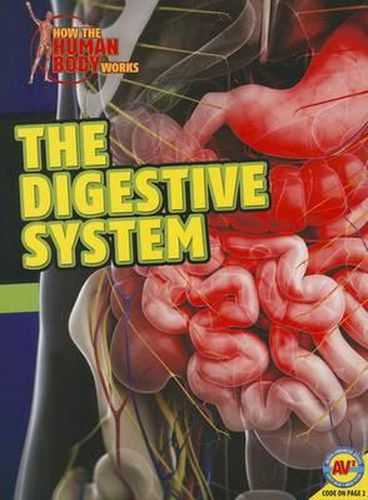 Cover image for The Digestive System
