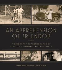 Cover image for An Apprehension of Splendor