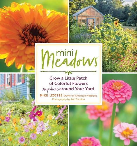 Cover image for Mini Meadows: Grow a Little Patch of Colorful Flowers Anywhere around Your Yard