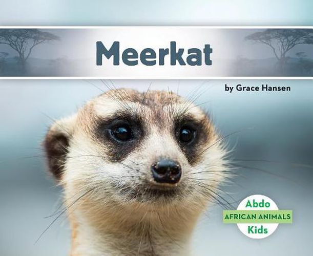 Cover image for Meerkat