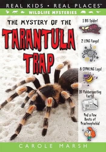 Cover image for The Mystery of Tarantula Trap