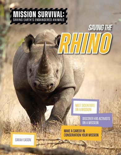 Cover image for Saving the Rhino