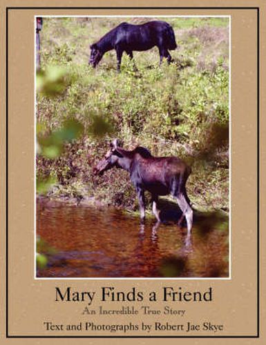 Cover image for Mary Finds a Friend