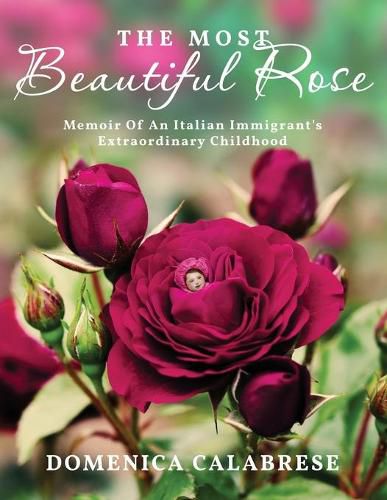 Cover image for The Most Beautiful Rose: Memoir Of An Italian Immigrant's Extraordinary Childhood