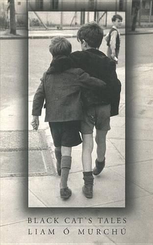 Cover image for The Formation and Evolution of the Irish Party Political System