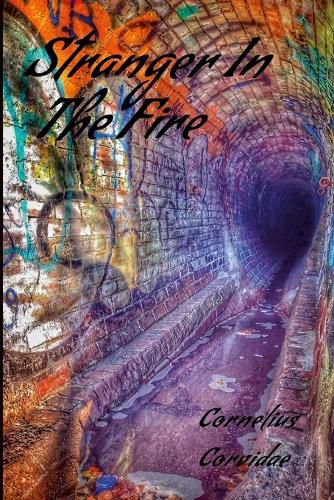 Cover image for Stranger In The Fire