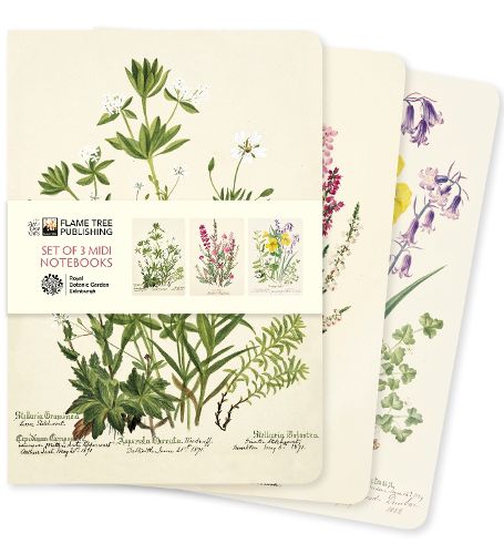 Cover image for Royal Botanic Garden Edinburgh Set of 3 Midi Notebooks