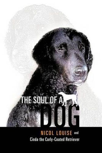 Cover image for The Soul of a Dog