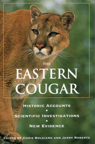 Cover image for Eastern Cougar: Historic Accounts, Scientific Investigations, New Evidence