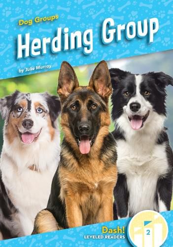 Cover image for Herding Group