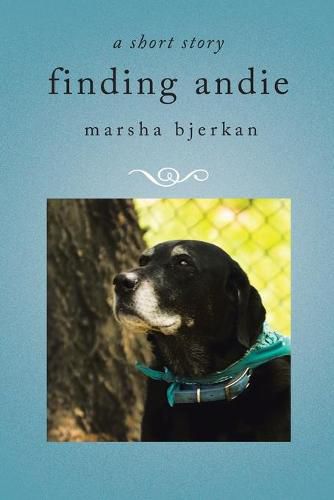 Cover image for finding andie