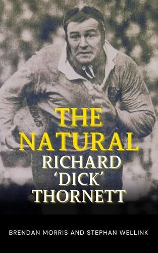 Cover image for The Natural