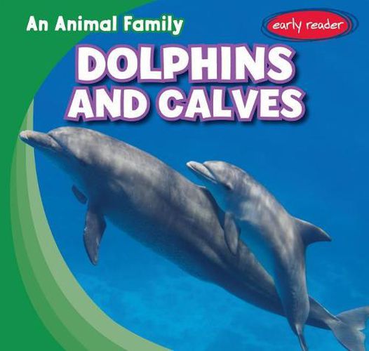 Cover image for Dolphins and Calves