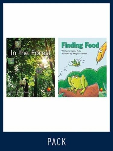 Cover image for Flying Start Guided Reading Pack Level 3, Pack 4: Paired student books (6x6) and lesson plan (1)