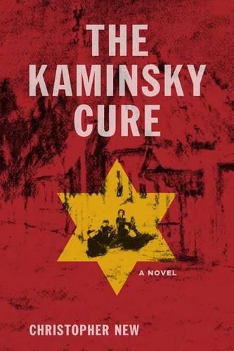 Cover image for The Kaminsky Cure