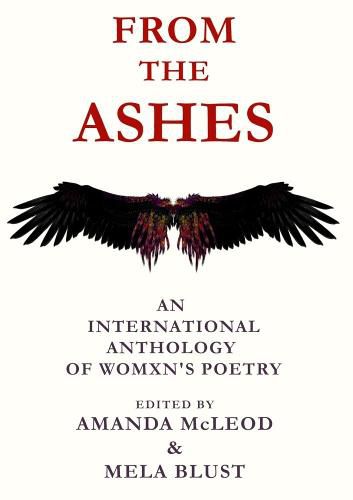 Cover image for From The Ashes