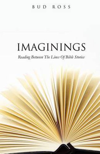 Cover image for Imaginings