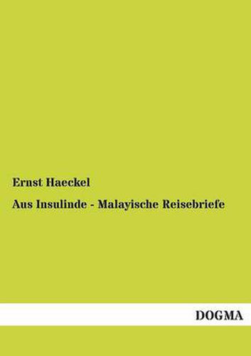 Cover image for Aus Insulinde - Malayische Reisebriefe