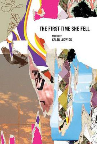 Cover image for The First Time She Fell