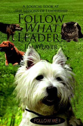 Cover image for Follow What Leader?: A Logical Look at the Lessons of Leadership