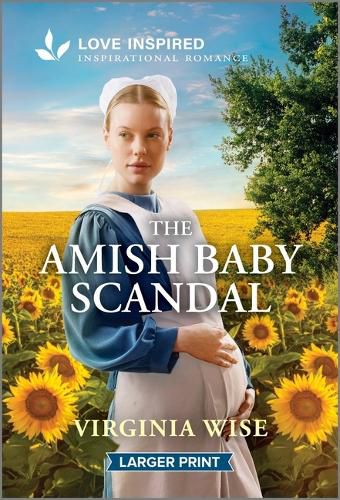 Cover image for The Amish Baby Scandal