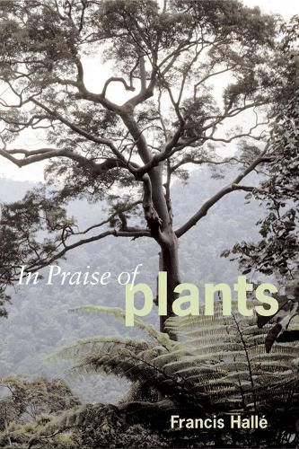 Cover image for In Praise of Plants