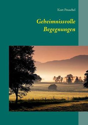 Cover image for Geheimnissvolle Begegnungen