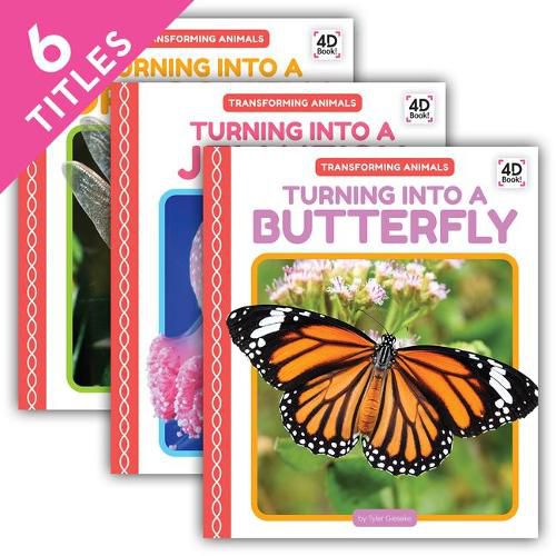 Cover image for Transforming Animals (Set)
