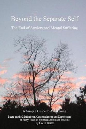 Cover image for Beyond The Separate Self: The End of Anxiety and Mental Suffering