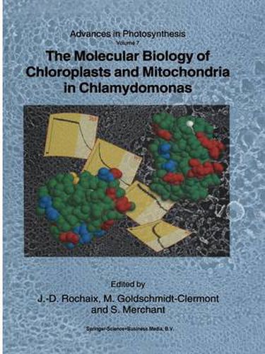 Cover image for The Molecular Biology of Chloroplasts and Mitochondria in Chlamydomonas